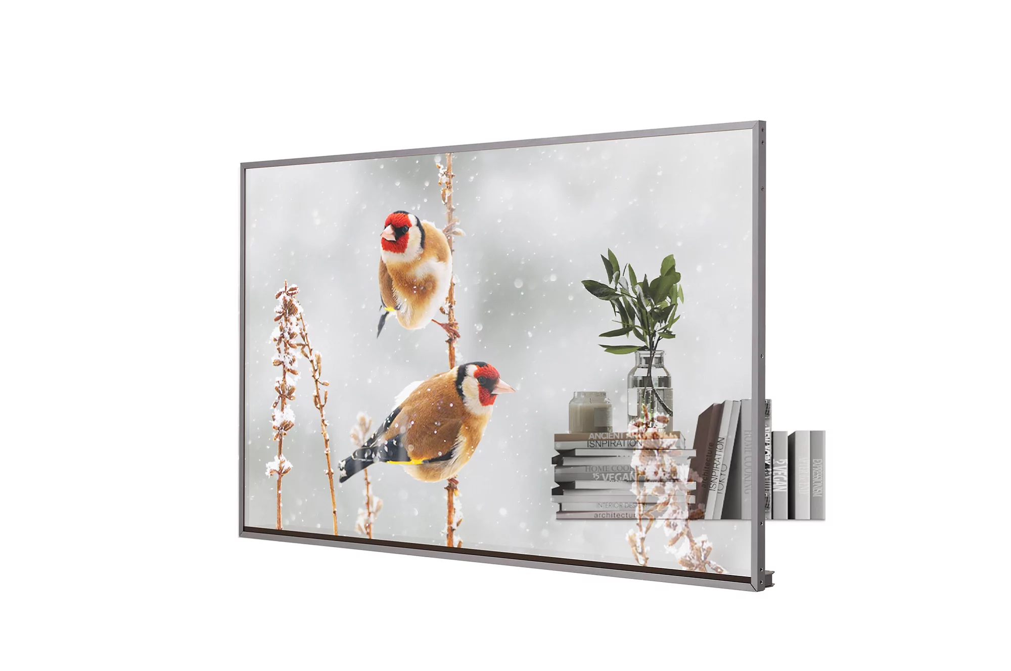 Профессиональный прозрачный OLED дисплей LG 55EW5P-M — изображение 9